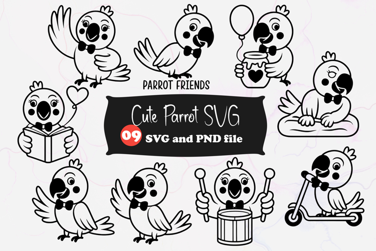 Parrot Illustration Image 4