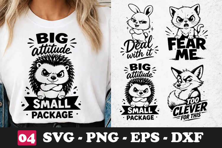 Big Attitude Small Package Hedgehog SVG Funny Animal Shirt