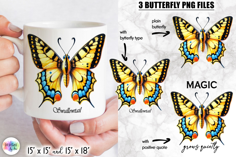Butterfly Png Image 15
