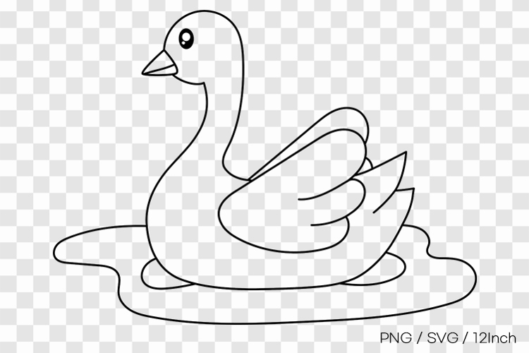 Elegant lake water swan bird graceful wing PNG animal illust