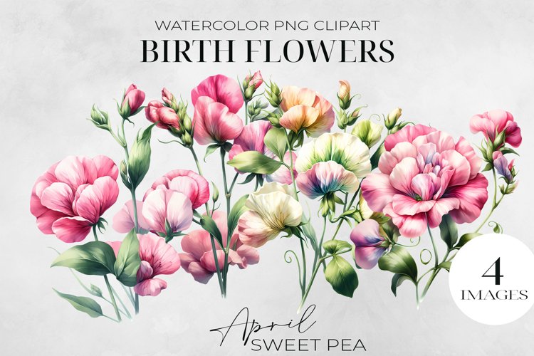 Birth Month Flowers Clipart, April Sweet Pea PNG. example image 1