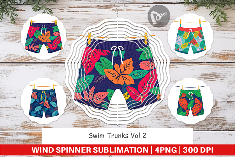 Wind Spinner Swim Trunks