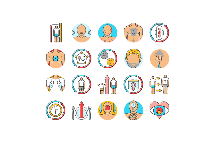 Development Icon Image 17