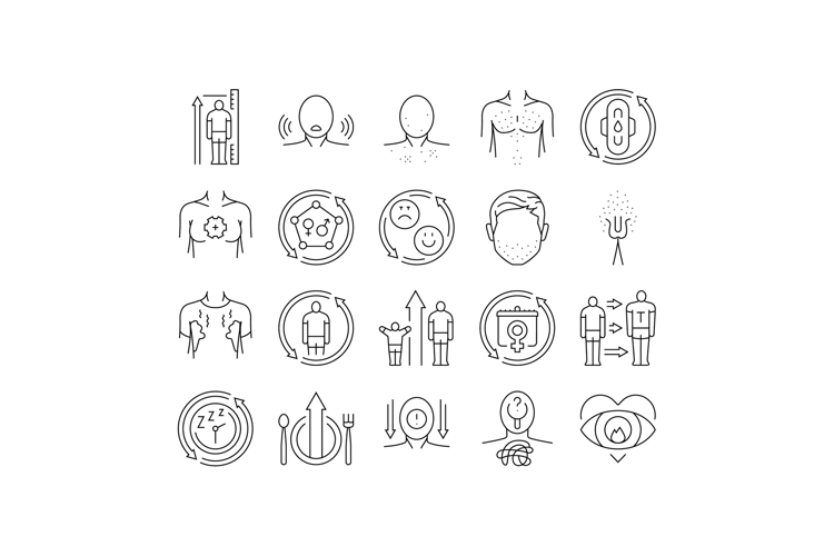 Development Icon Image 16