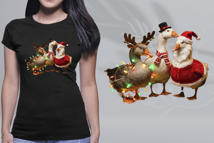 Christmas Geese Lights Santa Reindeer Trio PNG