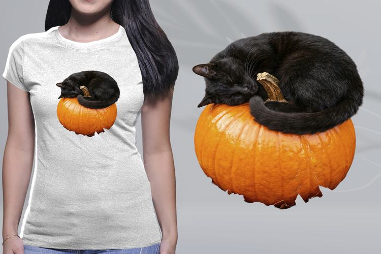 Sleeping Black Cat on Pumpkin Halloween PNG