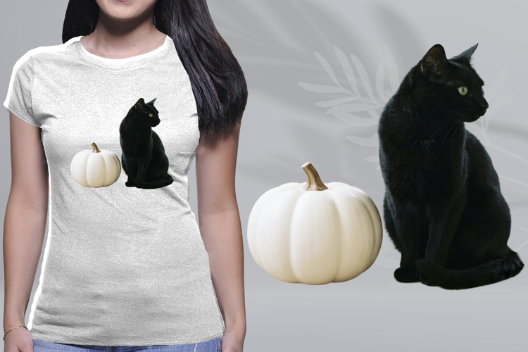 Minimalist Black Cat White Pumpkin PNG