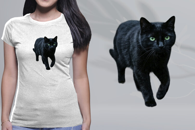 Black Cat Green Eyes Prowling Halloween PNG example image 1