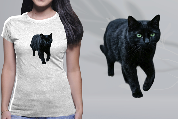Black Cat Green Eyes Prowling Halloween PNG