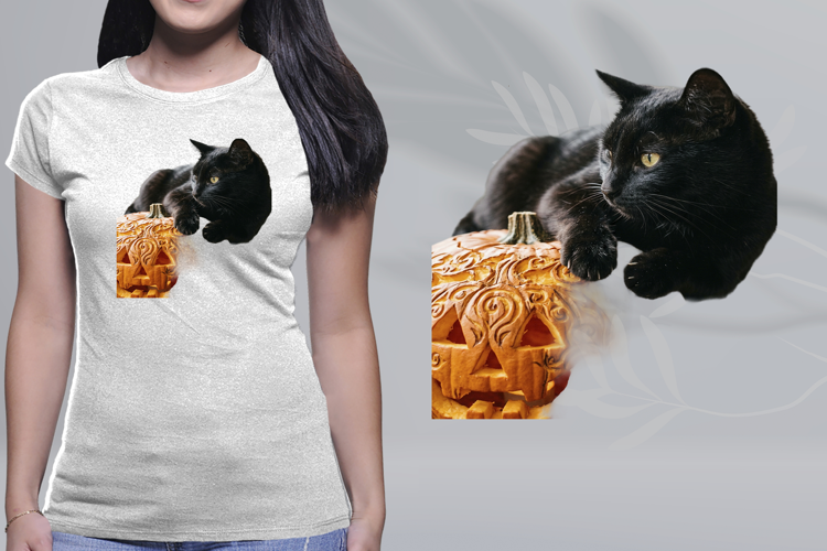 Black Cat Jack O Lantern Pumpkin Halloween PNG