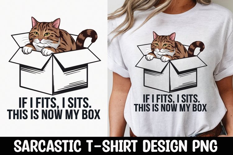 Cat Png Image 6