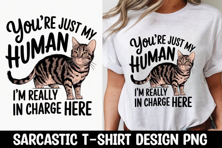 Cat Png Image 23