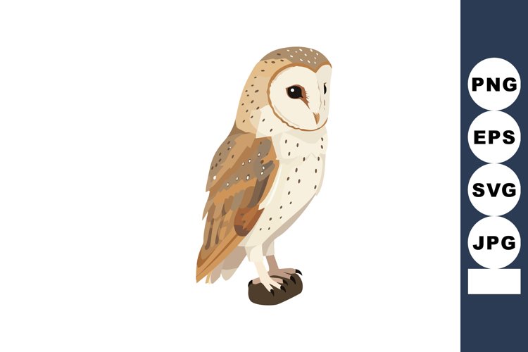 Feather Clipart Image 13