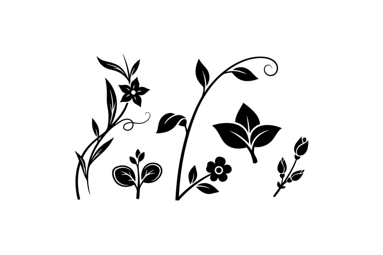 Hand Drawn Floral SVG For Invitations
