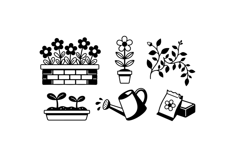 Daisy Graphic Image 13