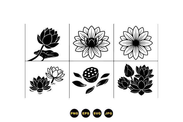 Lotus Flower Illustration Image 20