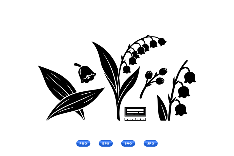 Hand Drawn Lily Of The Valley Floral Clipart