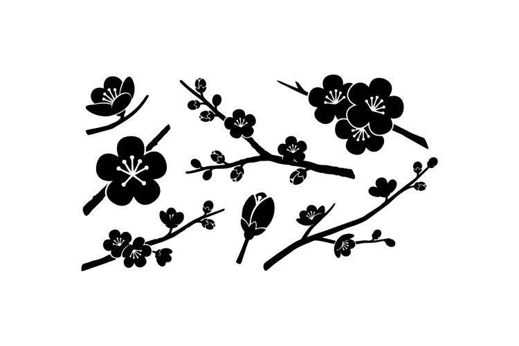 Hand Drawn Cherry Blossom Clipart For Wedding Invites