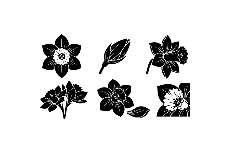 Hand Drawn Daffodil Floral SVG For Crafts