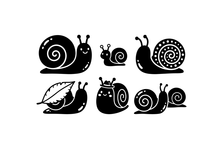 Shell Illustration Image 12