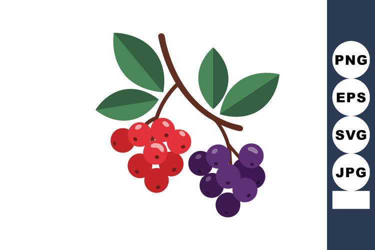 Branch with red and purple berries and green leaves simple v