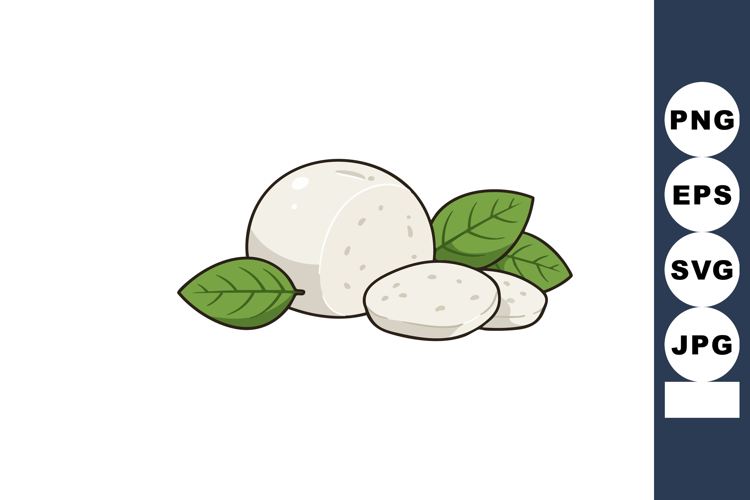 Fresh mozzarella cheese with green basil leaves isolated vec