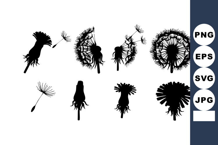 Dandelion Illustration Image 15