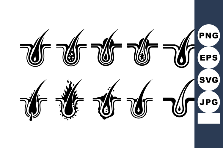 Hair Vector Image 12