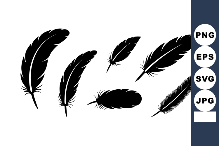 Feather Graphic Image 7