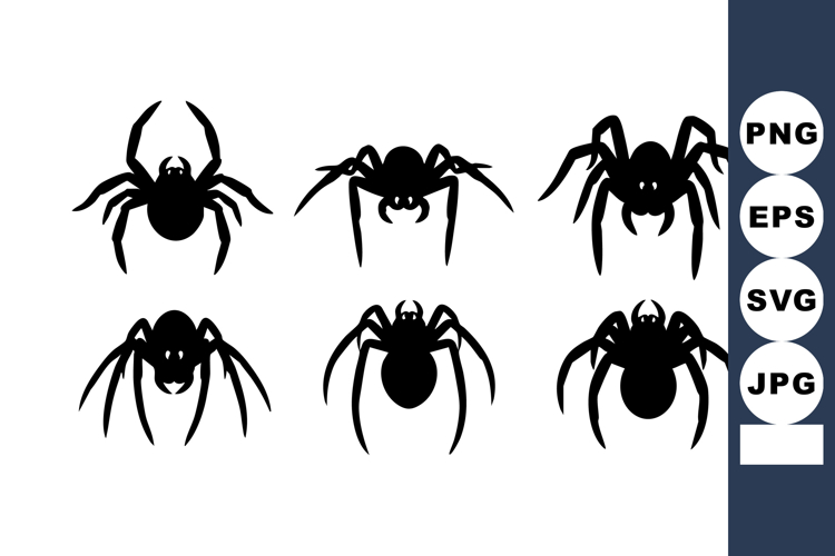 Spider Illustration Image 10