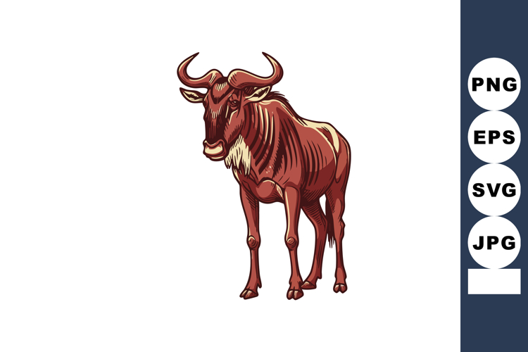 Body Illustration Image 19