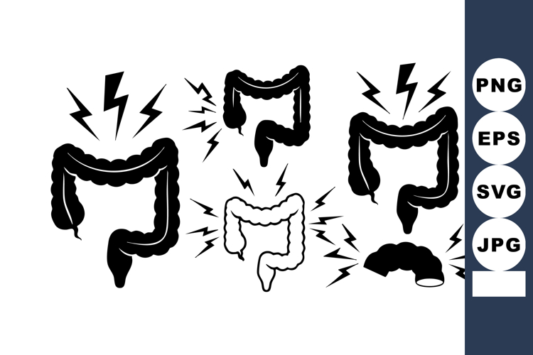 Digestive System Illustration