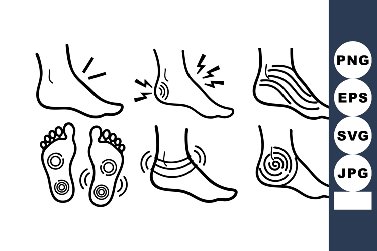 Anatomy Illustration Image 16