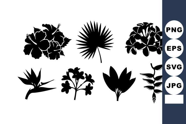 Leaf Vector Image 18