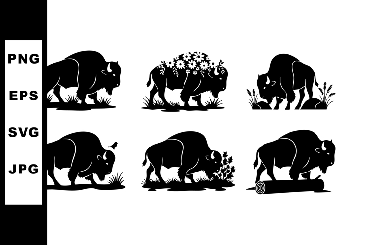 American bison herd wildlife animals grazing and standing ve