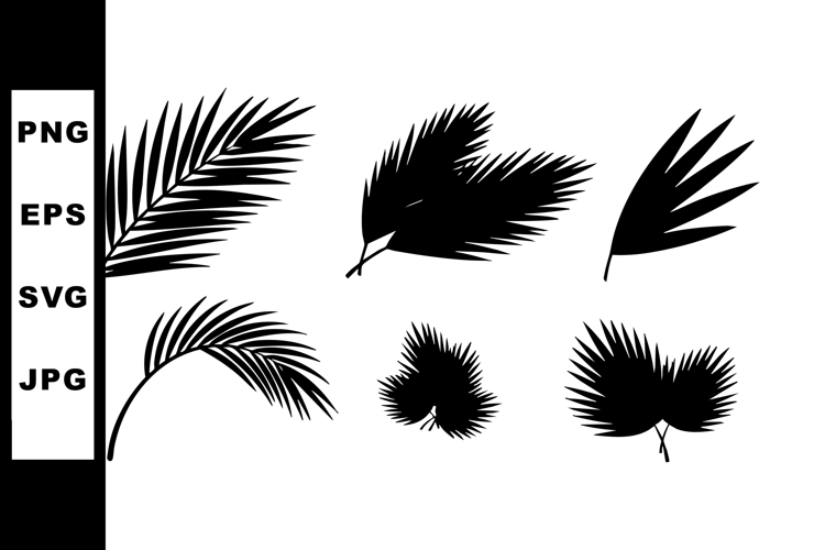 Palm Leaf Vector Image 12
