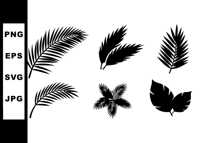Palm Leaf Vector Image 13