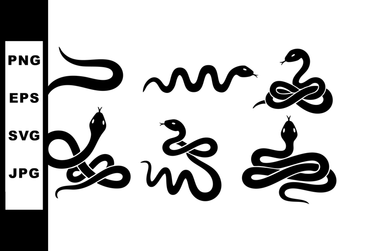 Snake Illustration Image 12