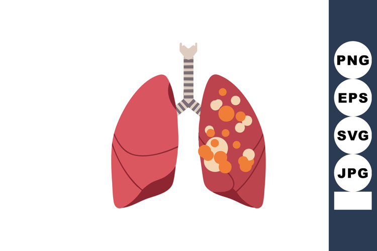 Lungs Clipart Image 11
