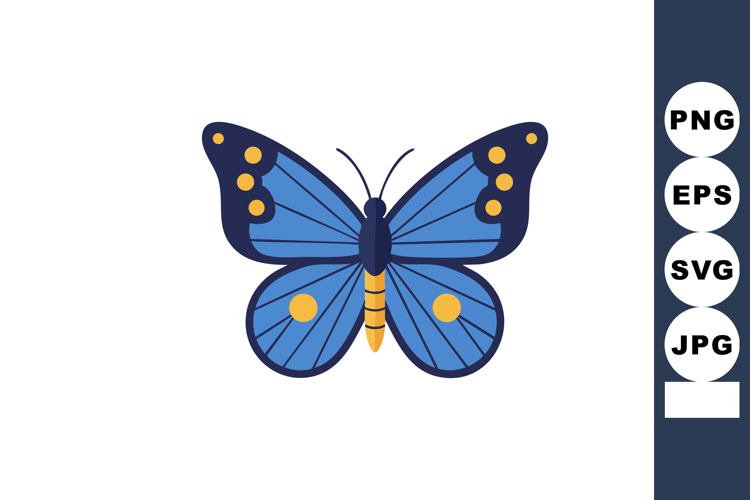 Insect Illustration Image 6