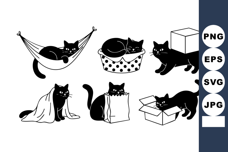 Black cat playful poses with hammock basket box blanket and