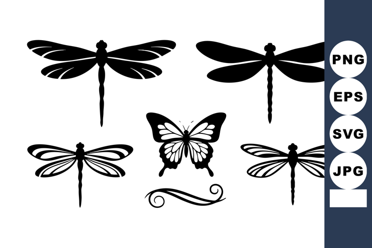 Insect Illustration Image 21