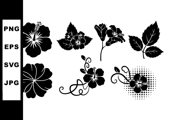 Hibiscus Vector Image 22