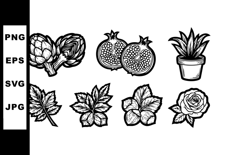 Rose Clipart Image 11