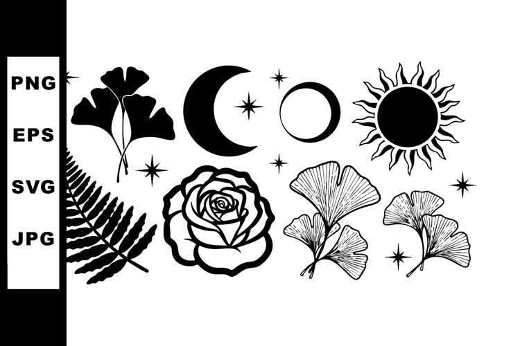 Fern Illustration Image 10