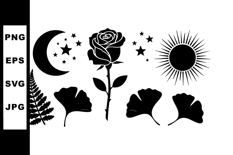 Rose Clipart Image 19