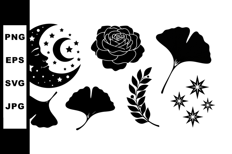 Rose Clipart Image 17