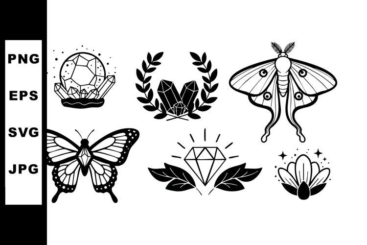 Moth Clipart Image 7