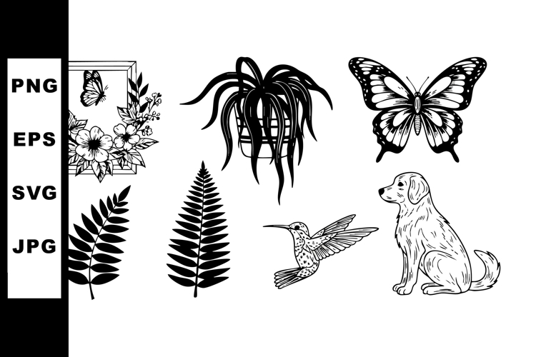 Fern Illustration Image 18