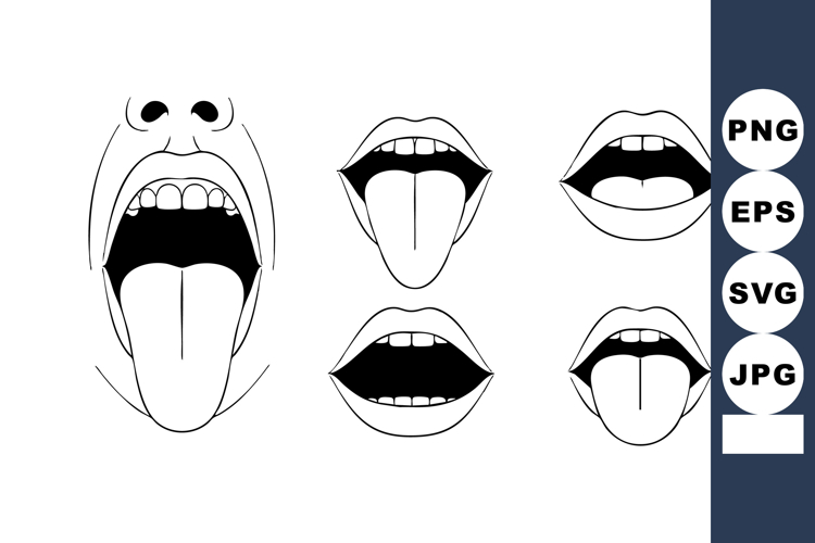 Anatomy Illustration Image 19